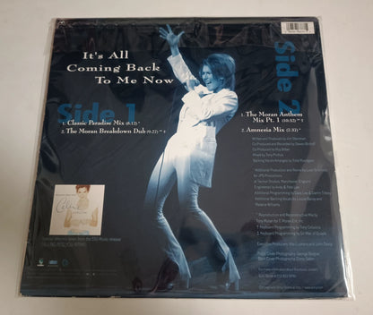Celine Dion – It's All Coming Back To Me Now; actual item detail