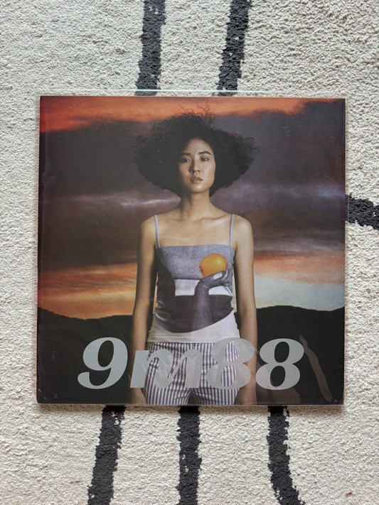 9m88 – Beyond Mediocrity 平庸之上 – Vinyl LP