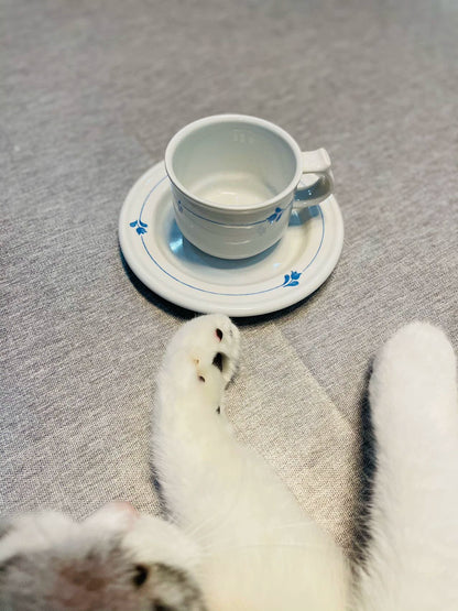 Gustavsberg Aster – Coffee Cup and Saucer — front view