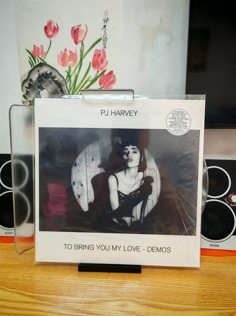 PJ Harvey – To Bring You My Love – Demos (LP) – source photograph 2