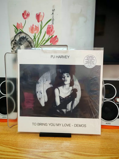 PJ Harvey – To Bring You My Love – Demos (LP) – source photograph 2