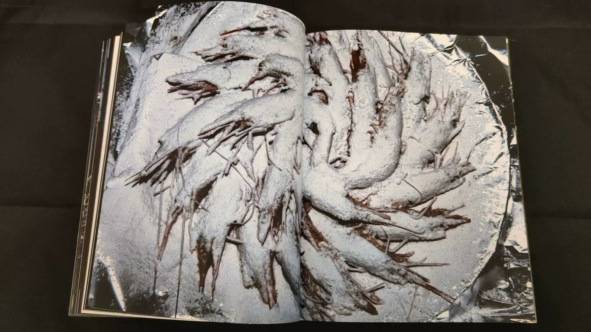 Lieko Shiga – Rasen Kaigan / Spiral Coast Signed Photography Book — product detail 5