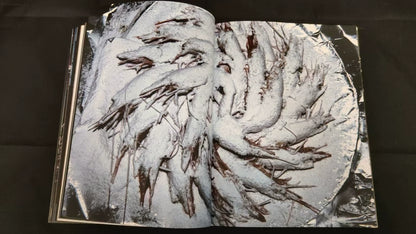 Lieko Shiga – Rasen Kaigan / Spiral Coast Signed Photography Book — product detail 5