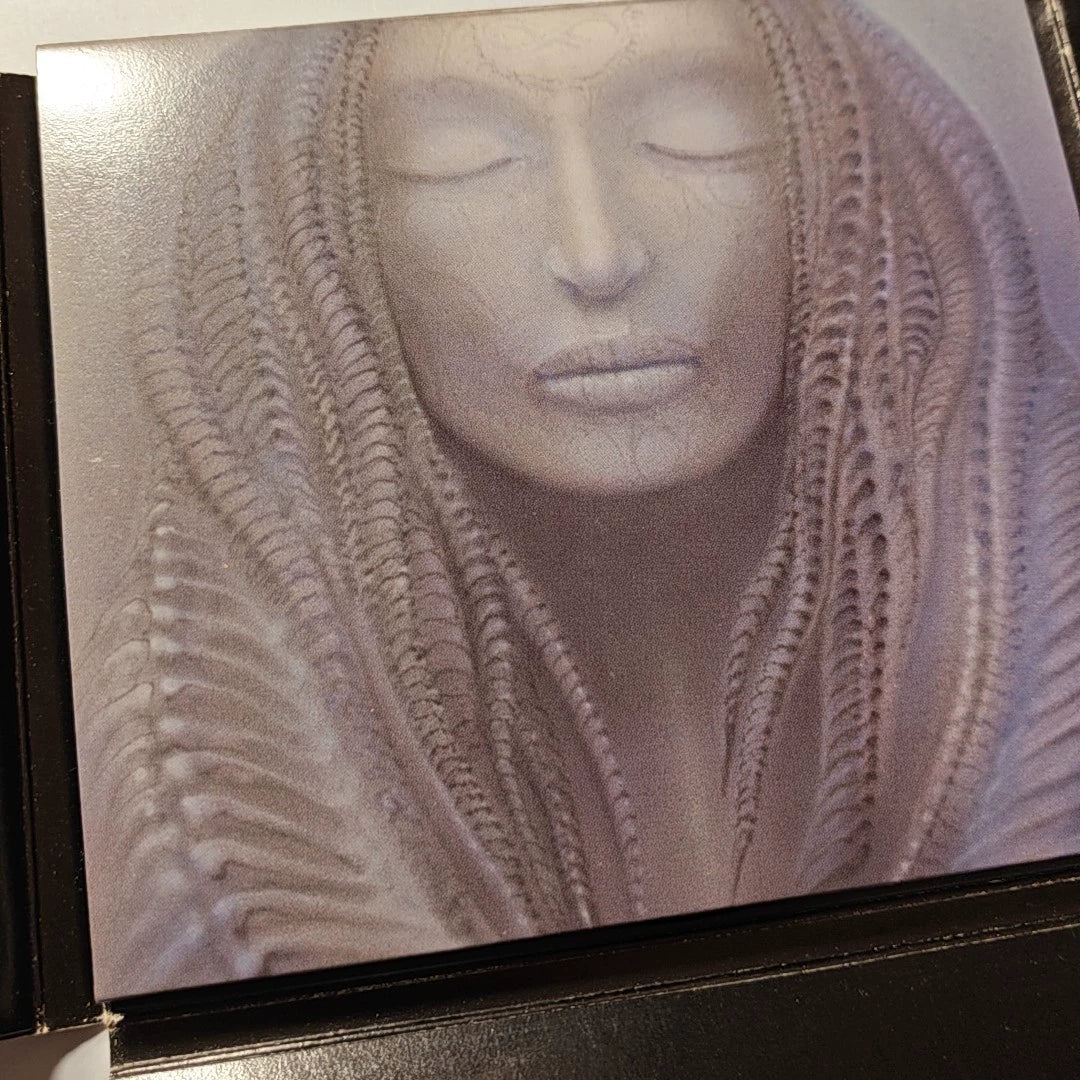 Emerson, Lake & Palmer – Brain Salad Surgery – Japanese CD – actual item photograph 3