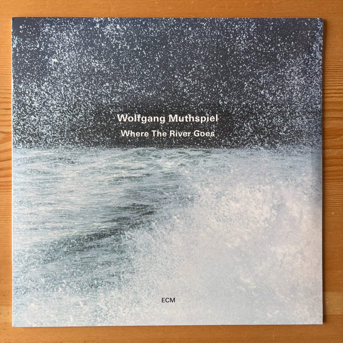 Wolfgang Muthspiel — Where The River Goes — front view