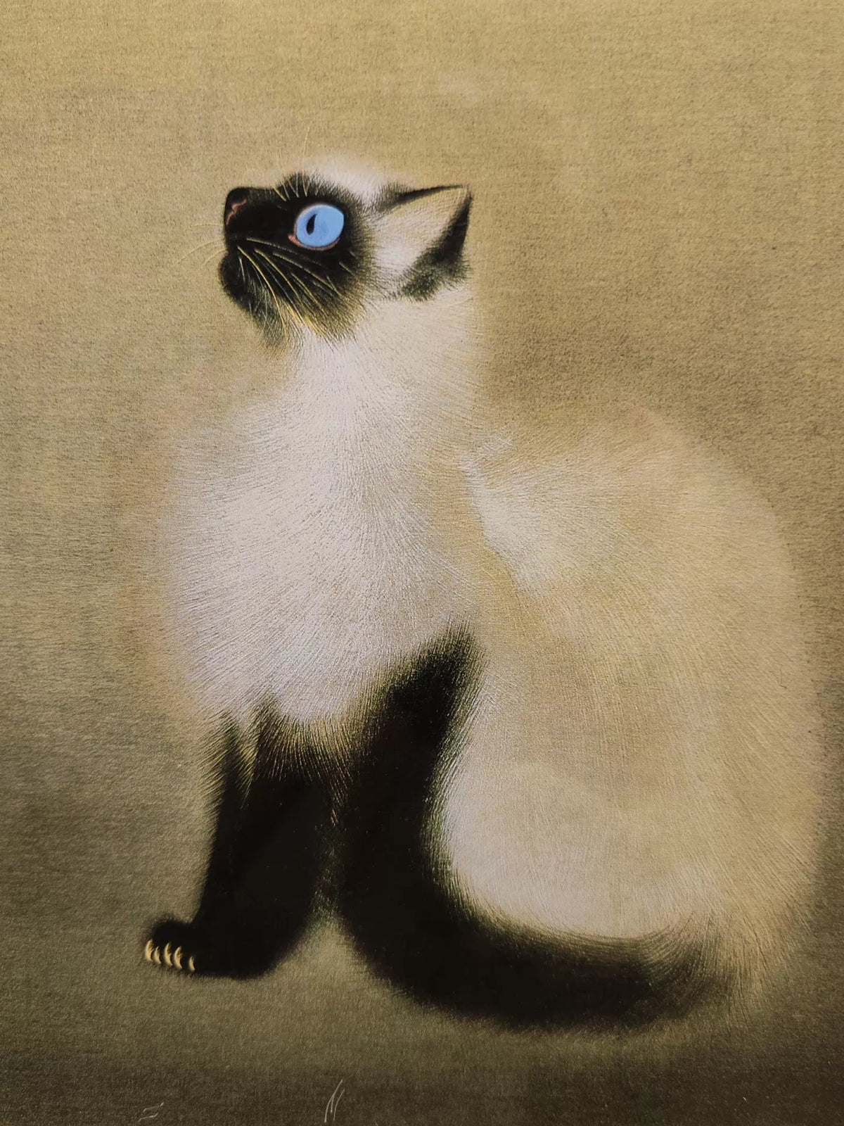 Matazo Kayama – Cat – Framed Museum Reproduction – detail 8