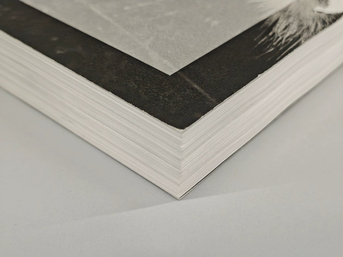 Issei Suda – The Mechanical Retina on My Fingertips Photography Book — product detail 2