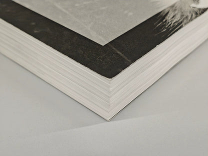 Issei Suda – The Mechanical Retina on My Fingertips Photography Book — product detail 2