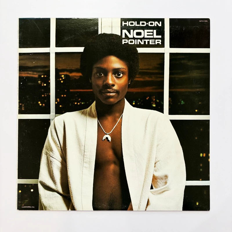 Noel Pointer – Hold On, 1978 Japanese Blue Note Vinyl LP – photo 1