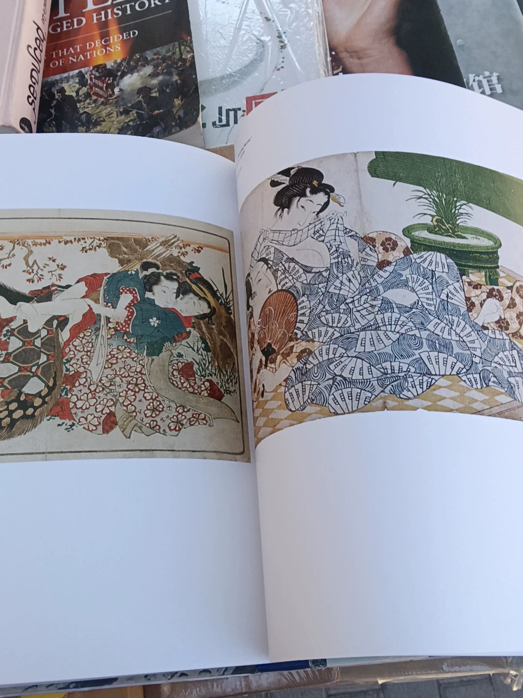 Hokusai: The Master's Legacy – SKIRA Hardcover Art Book – actual item photograph 7