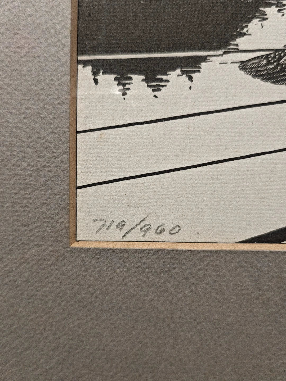 Terry Radeke – Loon – Framed Print 719/900 – detail 2