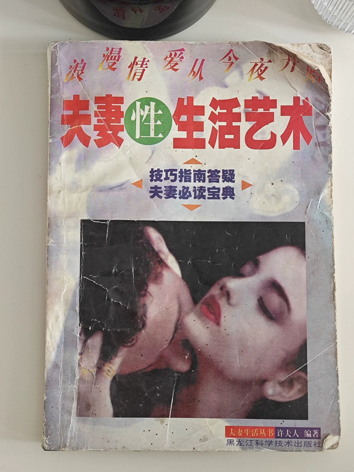 Fuqi Xing Shenghuo Yishu – 1997 Chinese Book – photo 1