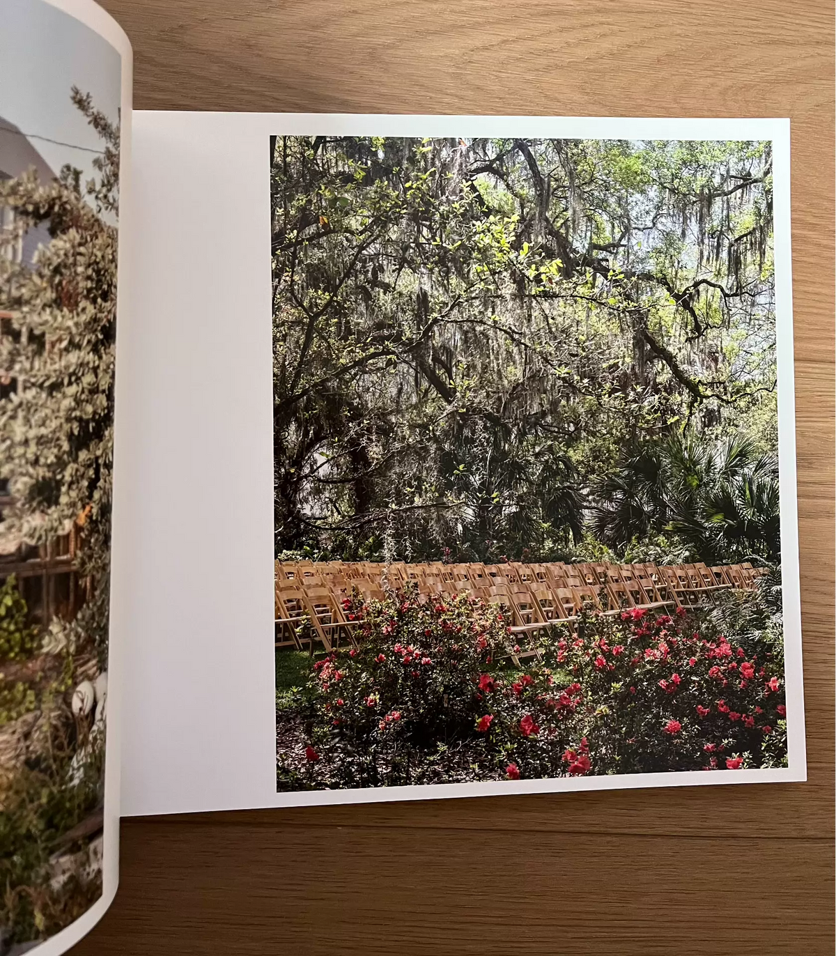 Anastasia Samoylova and Walker Evans – Floridas – STEIDL Photography Book — product detail 7