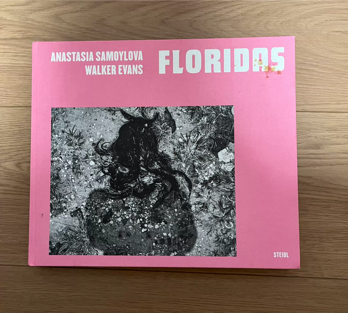 Anastasia Samoylova and Walker Evans – Floridas – STEIDL Photography Book — front view