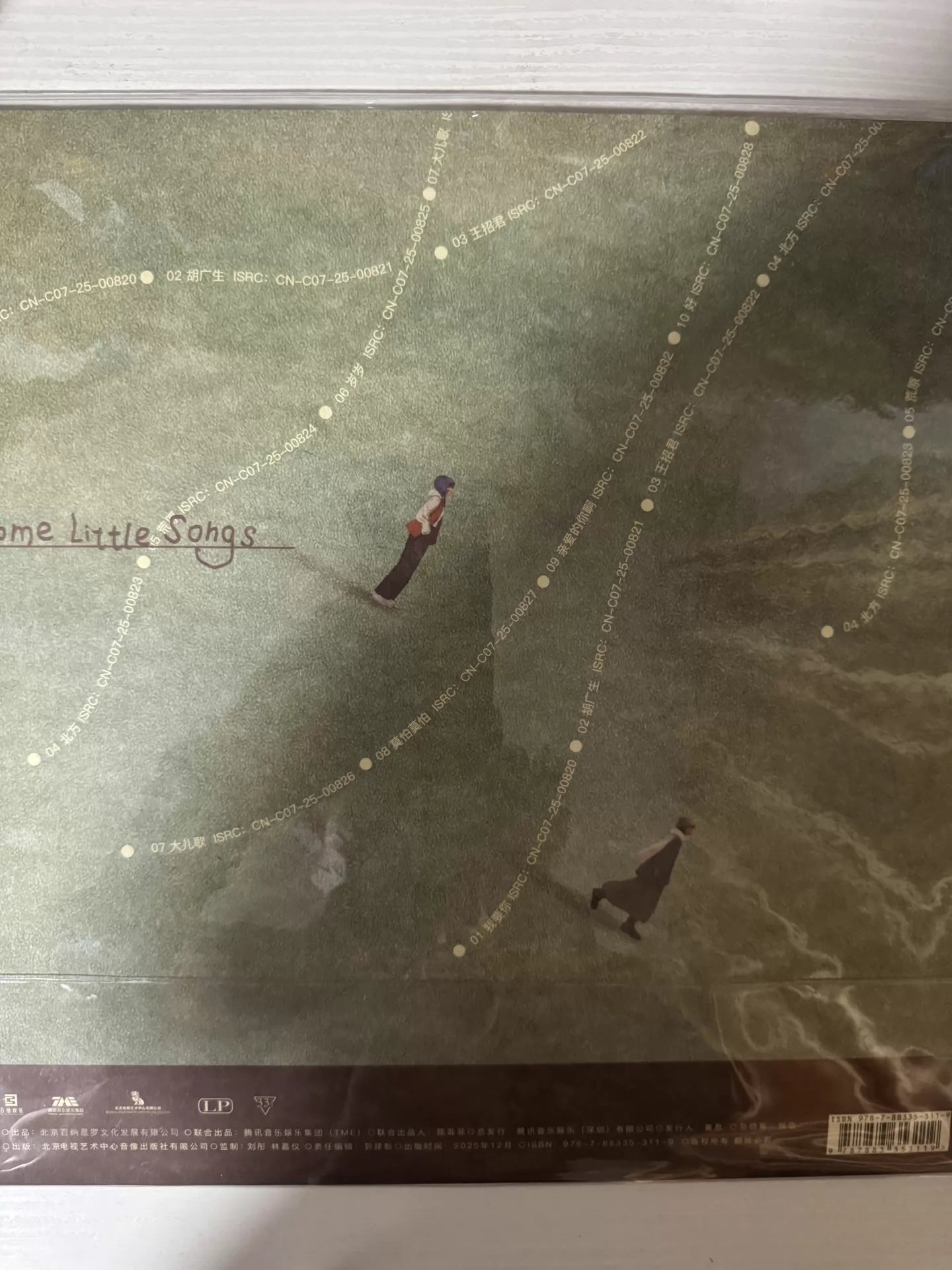 Ren Suxi – Some Little Songs – Colored Vinyl (LP) — photo 2