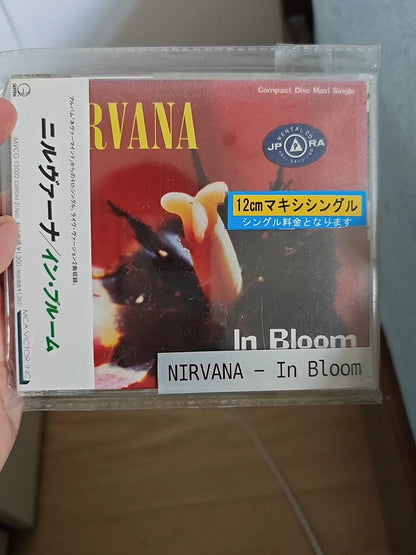 Nirvana – In Bloom – Japanese CD Single with OBI – actual item photograph