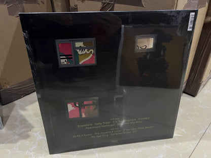 Arctic Monkeys – Favourite Worst Nightmare – European Vinyl (LP) — photo 2