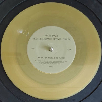 Fleet Foxes – Can I Believe You / Wading in Waist-High Water – RSD Gold Vinyl (7")