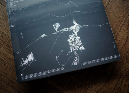 Anenon – Dream Temperature – Clear Vinyl LP — product detail 6