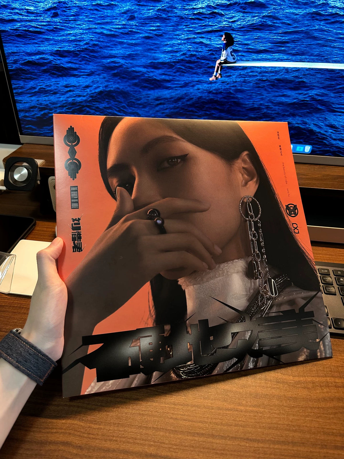 Liu Xijun – Ying Di Zhi Mei (LP) – photo 1