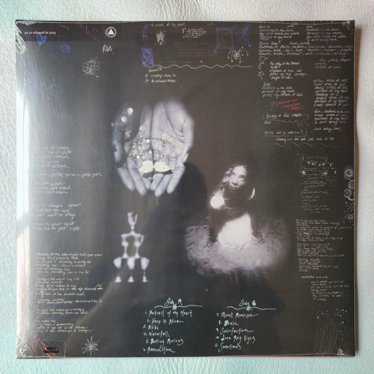 Spellling – Portrait of My Heart, Cloudy Red Vinyl (LP) – photo 2