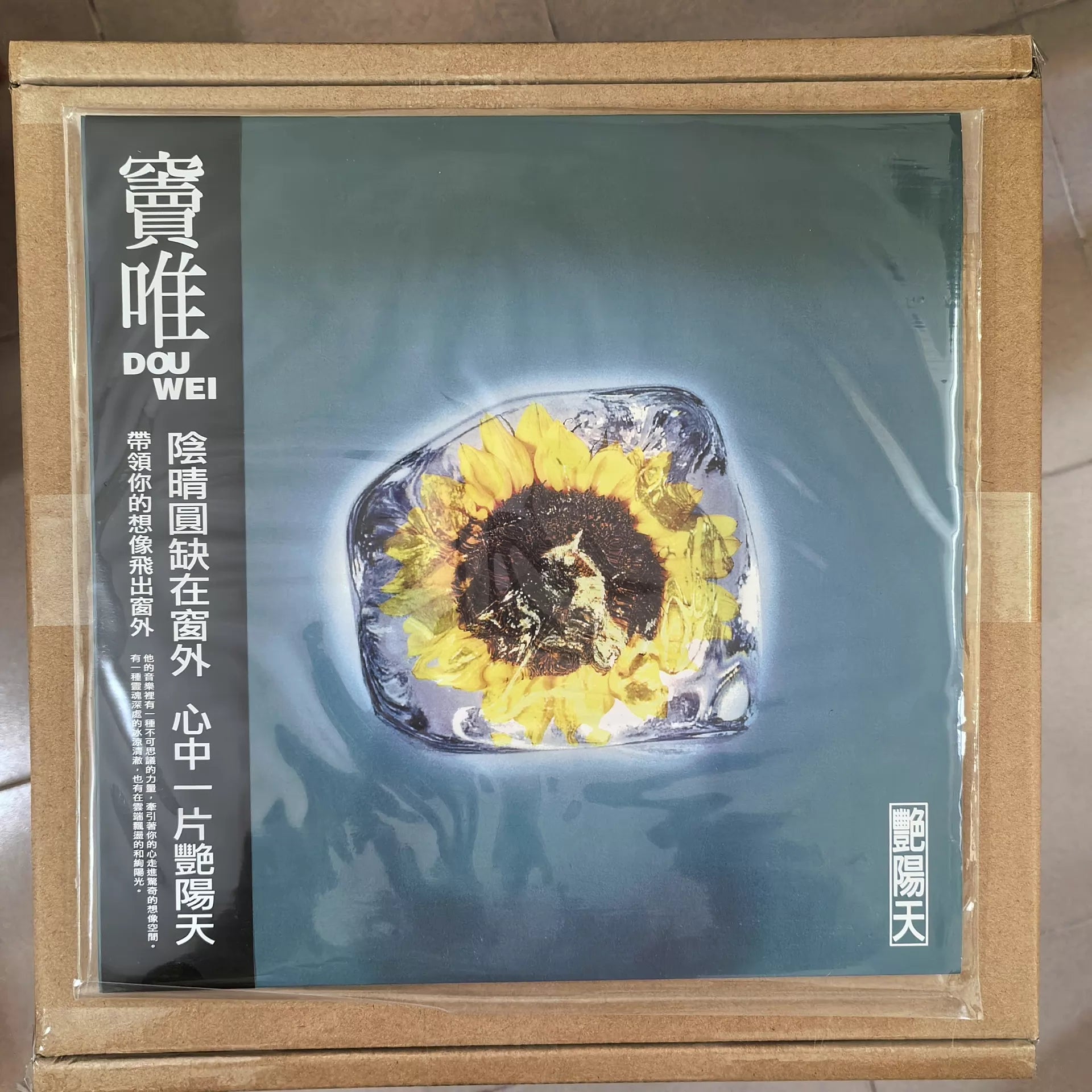 竇唯《艷陽天》140 克黑膠唱片（LP）