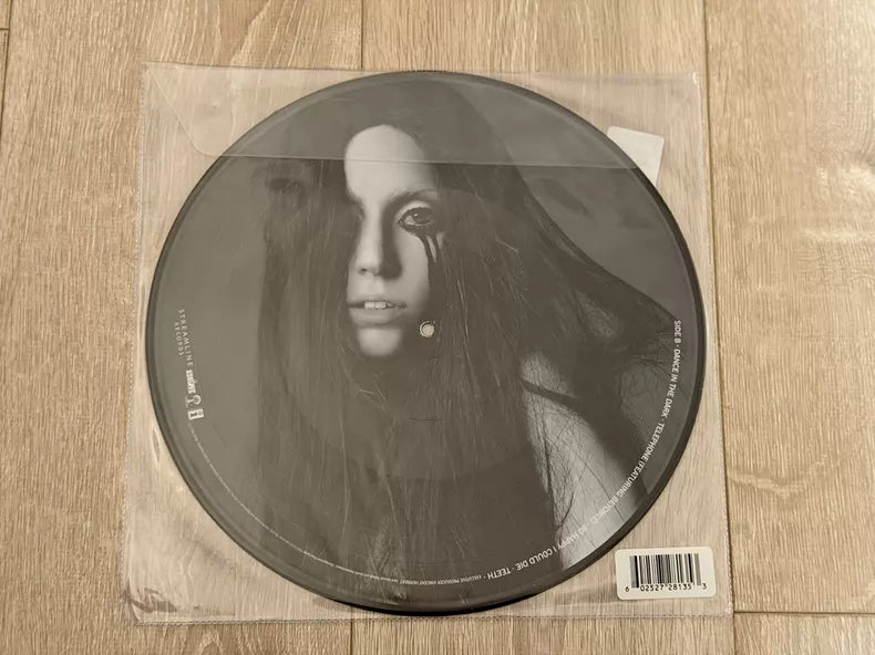 Lady Gaga – The Fame Monster – Picture Disc Vinyl (LP) — photo 2