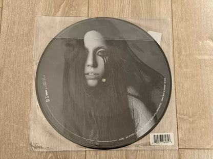 Lady Gaga – The Fame Monster – Picture Disc Vinyl (LP) — photo 2