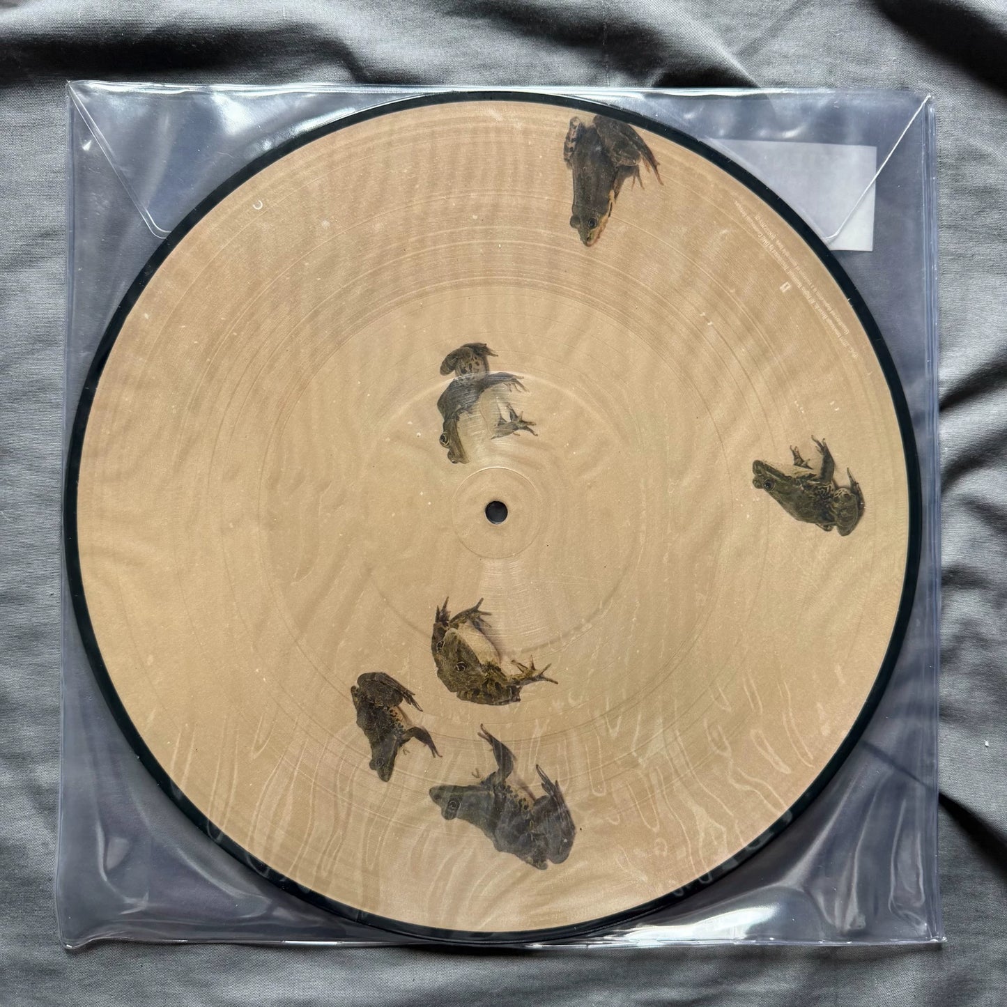 Selena Gomez – Rare Picture Disc Vinyl LP