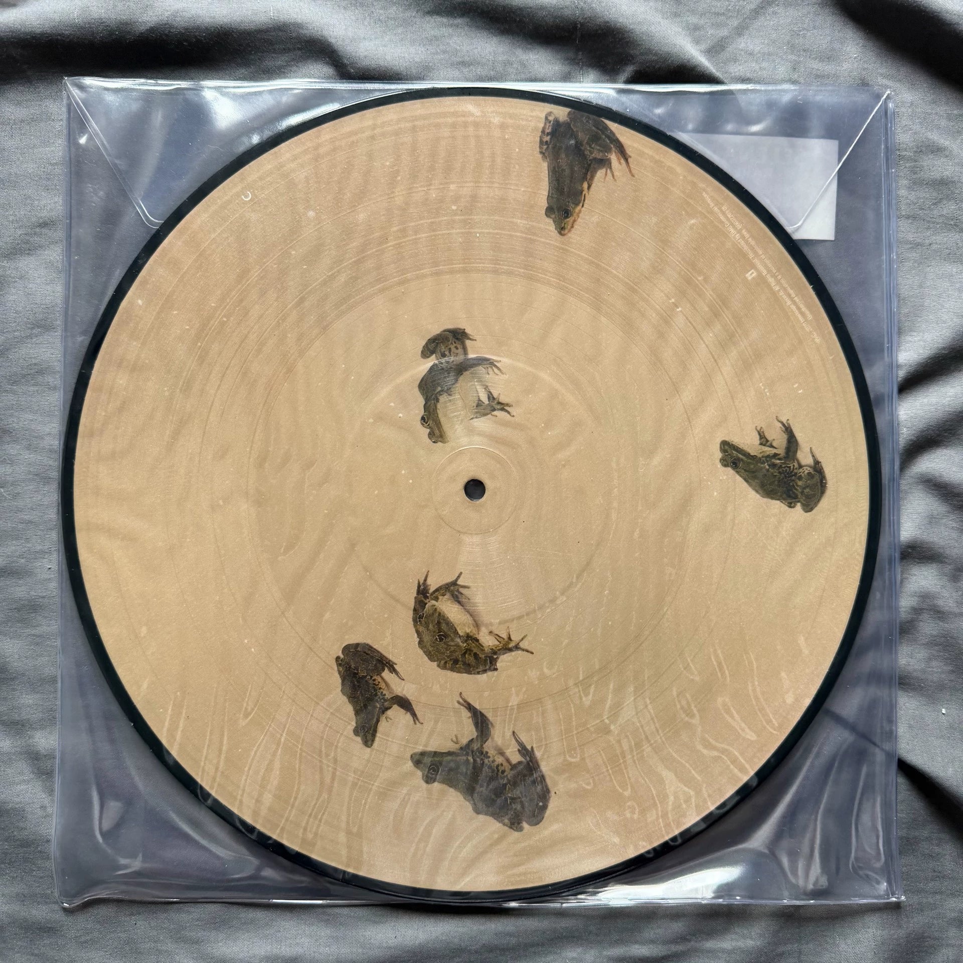 Selena Gomez – Rare Picture Disc Vinyl LP