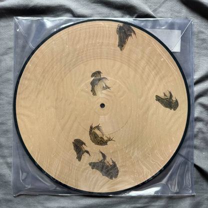 Selena Gomez – Rare Picture Disc Vinyl LP