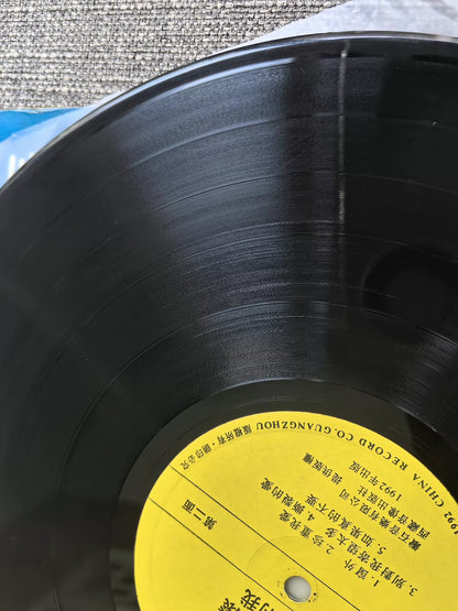 Chyi Chin – Shu Qing De Lao Gun (LP) – photo 6