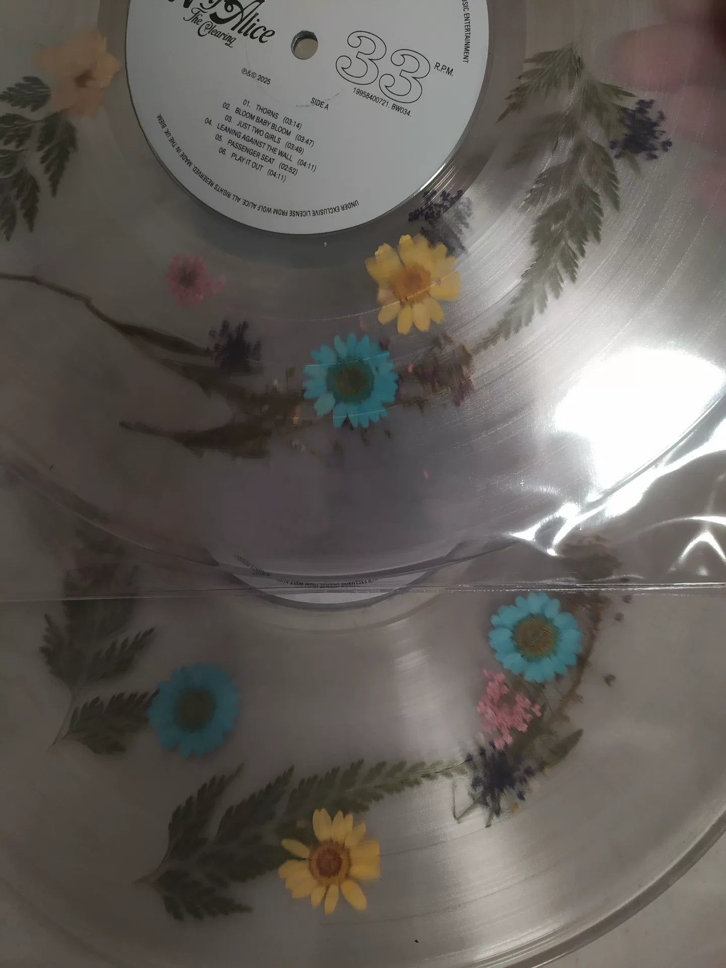 Wolf Alice – The Clearing Limited Colored Vinyl LP