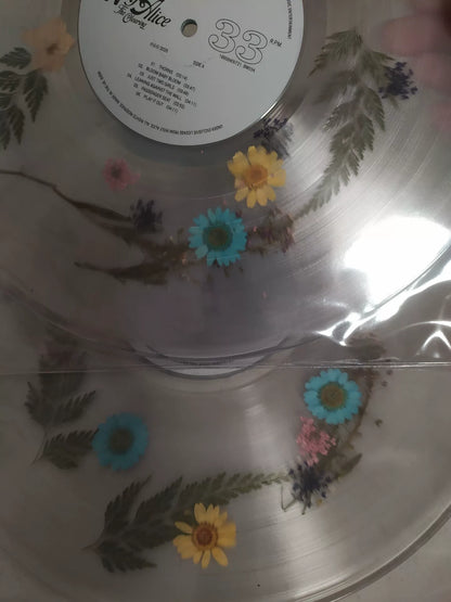 Wolf Alice – The Clearing Limited Colored Vinyl LP