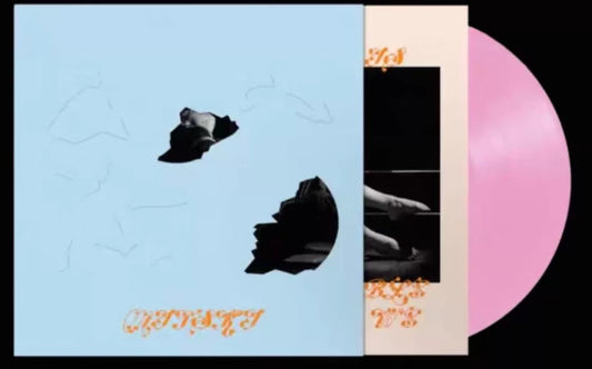 Mitski The Land Is Inhospitable and So Are We vinyl record