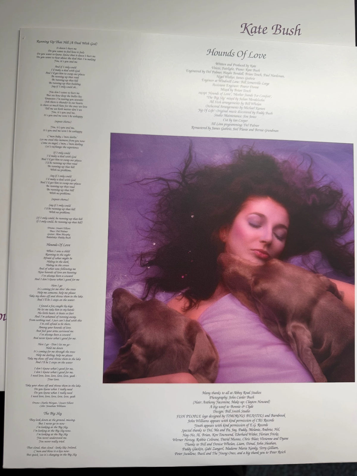 Kate Bush – Hounds Of Love – Pink Marbled Vinyl LP – actual copy