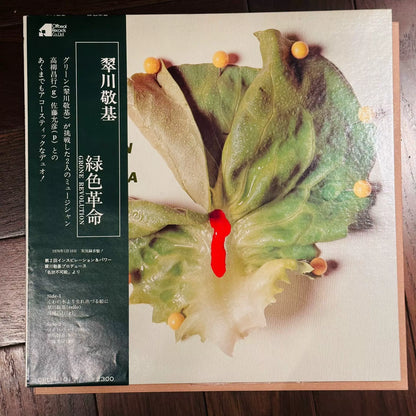 Keiki Midorikawa – Green Revolution Japanese First-Press Promo Vinyl LP