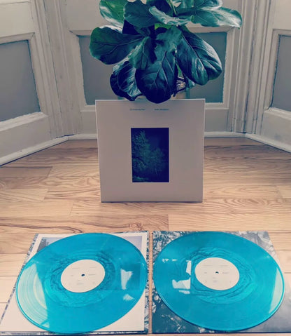 Devendra Banhart & Noah Georgeson – Refuge, Sea Glass Vinyl (2LP) – edition illustration