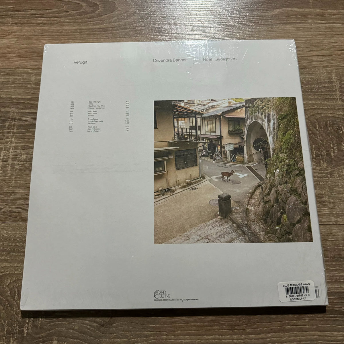 Devendra Banhart & Noah Georgeson – Refuge, Sea Glass Vinyl (2LP) – photo 2
