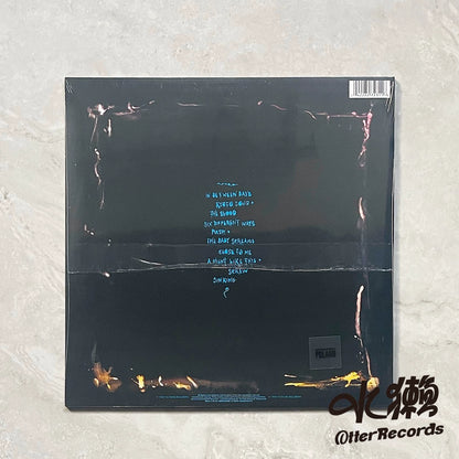 The Cure – The Head on the Door – item photograph 2