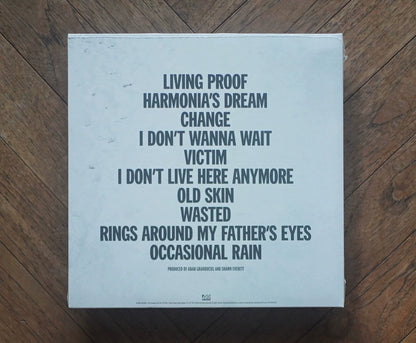 The War on Drugs – I Don’t Live Here Anymore – Blue Vinyl 2LP — product detail 2