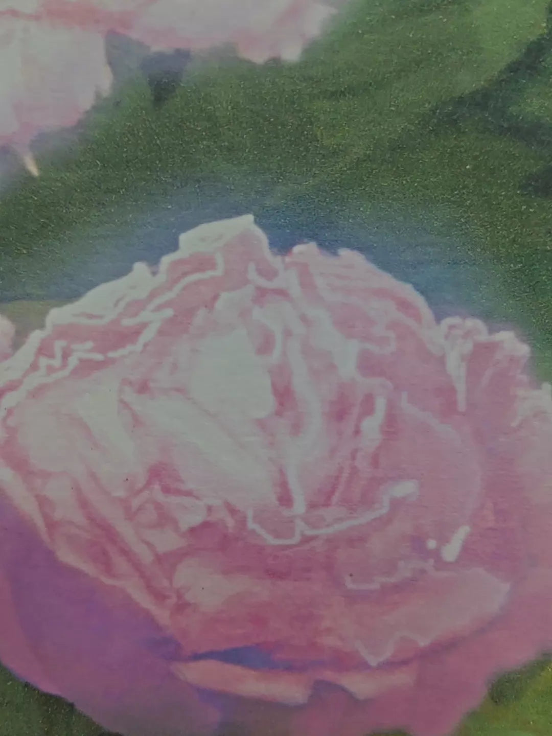 Naoko Hara – Peonies – Framed A/P Print – detail 9