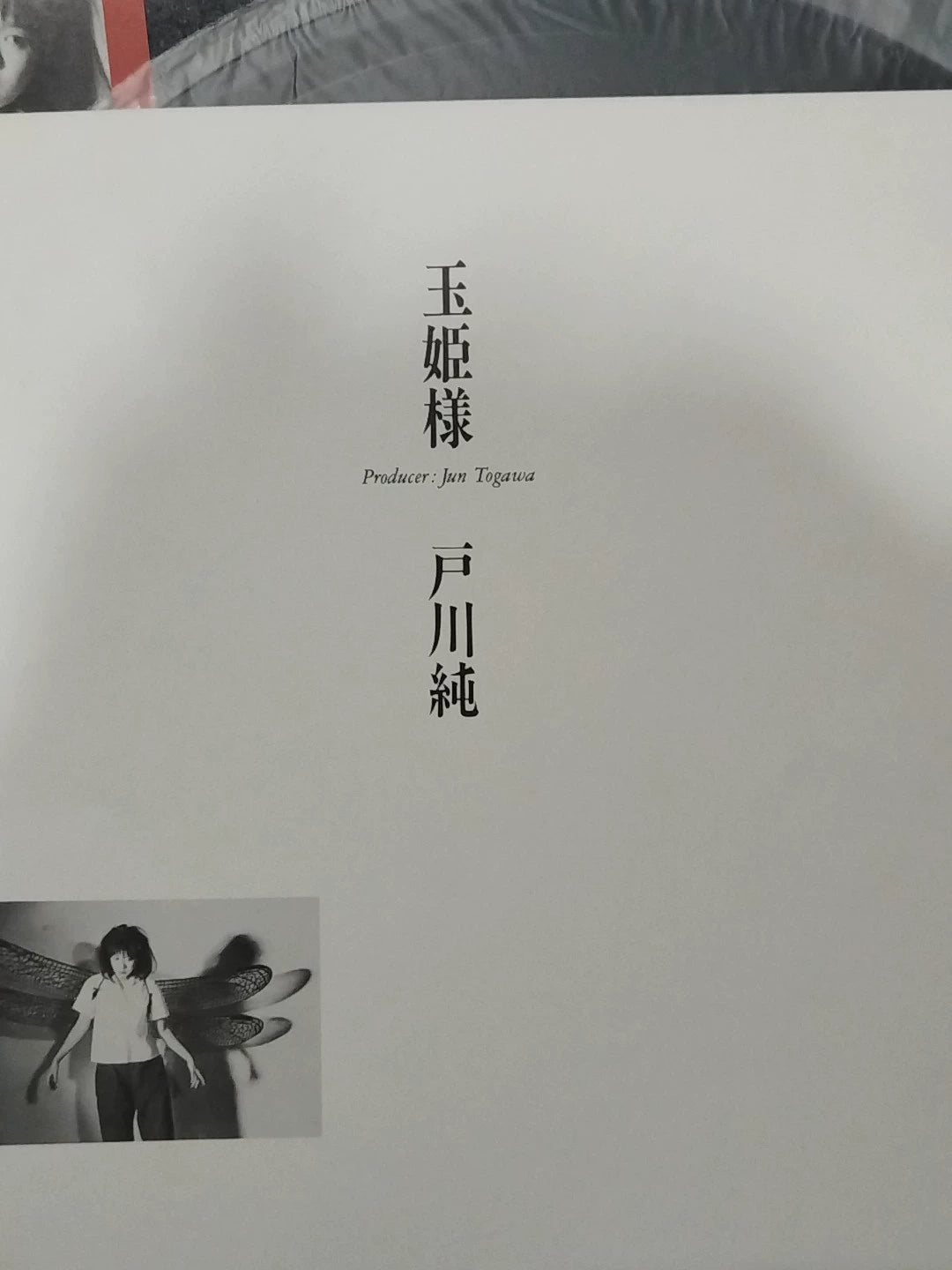 Jun Togawa – Tamahime-sama, Japan (LP) – photo 3
