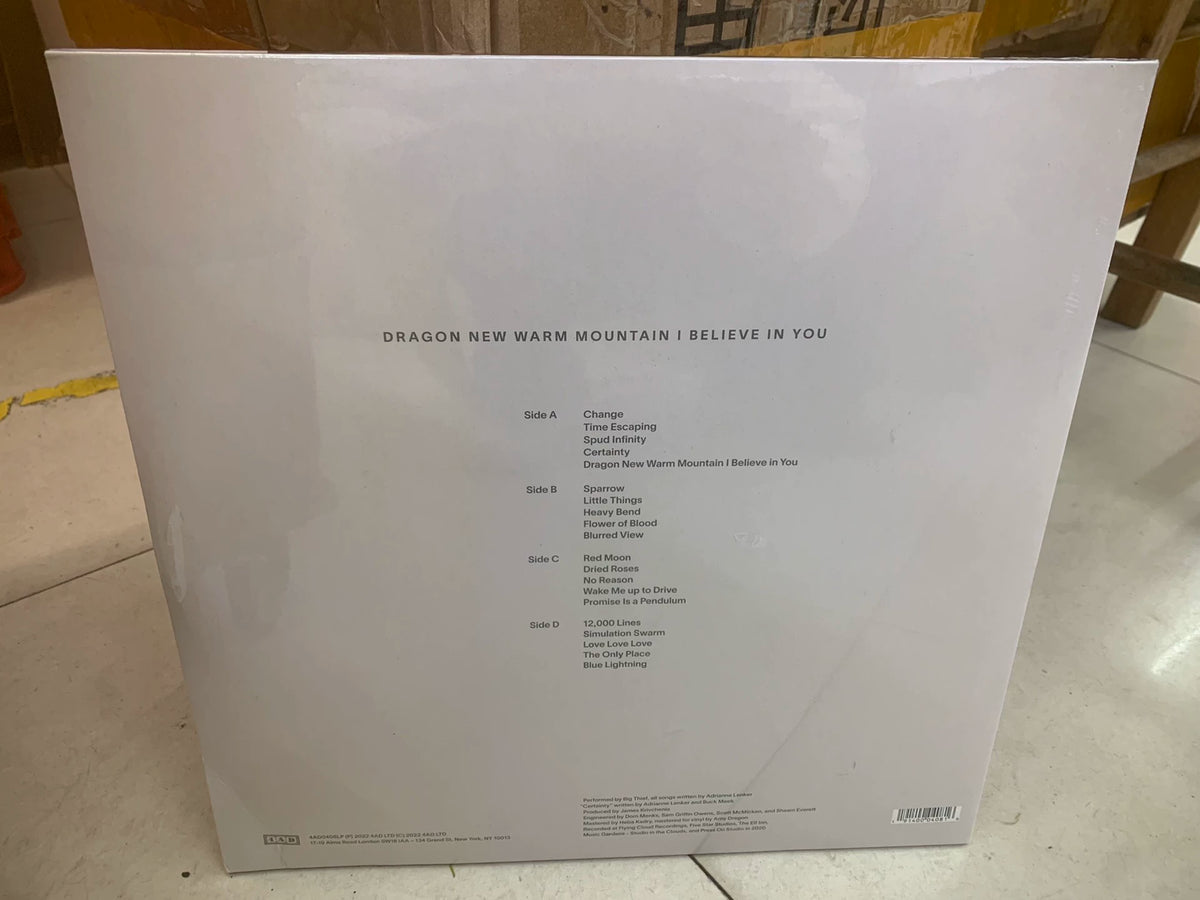 Big Thief – Dragon New Warm Mountain I Believe in You (2LP) – photograph 2