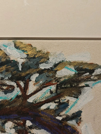 Pine Tree Study – Signed Framed Artwork
