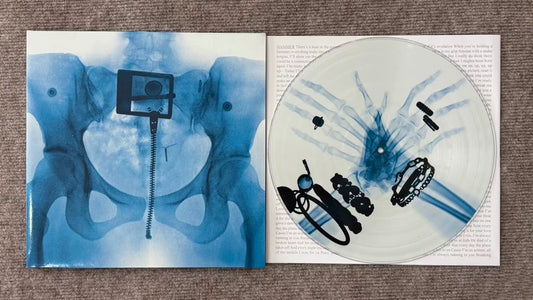 Lorde – Virgin Picture Disc Vinyl LP — Default Title