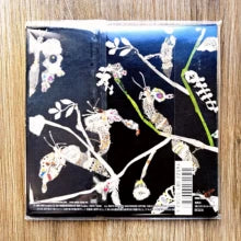 Kazumasa Hashimoto – Euphoriam (CD)