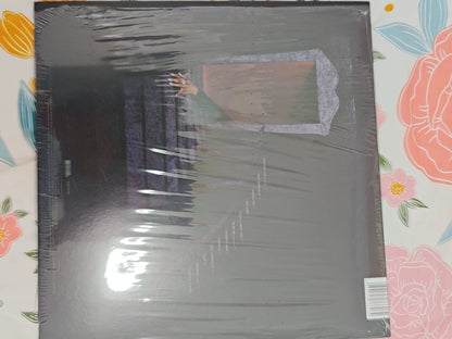 PinkPantheress Heaven Knows vinyl record photo 2