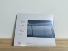 Fayzz – Days Gone (CD)