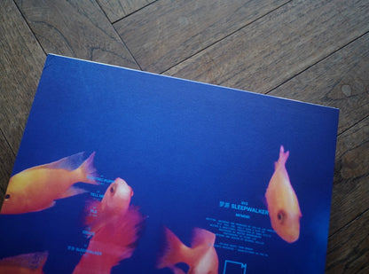 Sy3 – Sleepwalker — 梦游; actual item detail